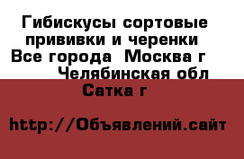 Гибискусы сортовые, прививки и черенки - Все города, Москва г.  »    . Челябинская обл.,Сатка г.